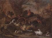 unknow artist Still life of fowl in a farmyard,with a cat stealing a bantam chick Sweden oil painting artist